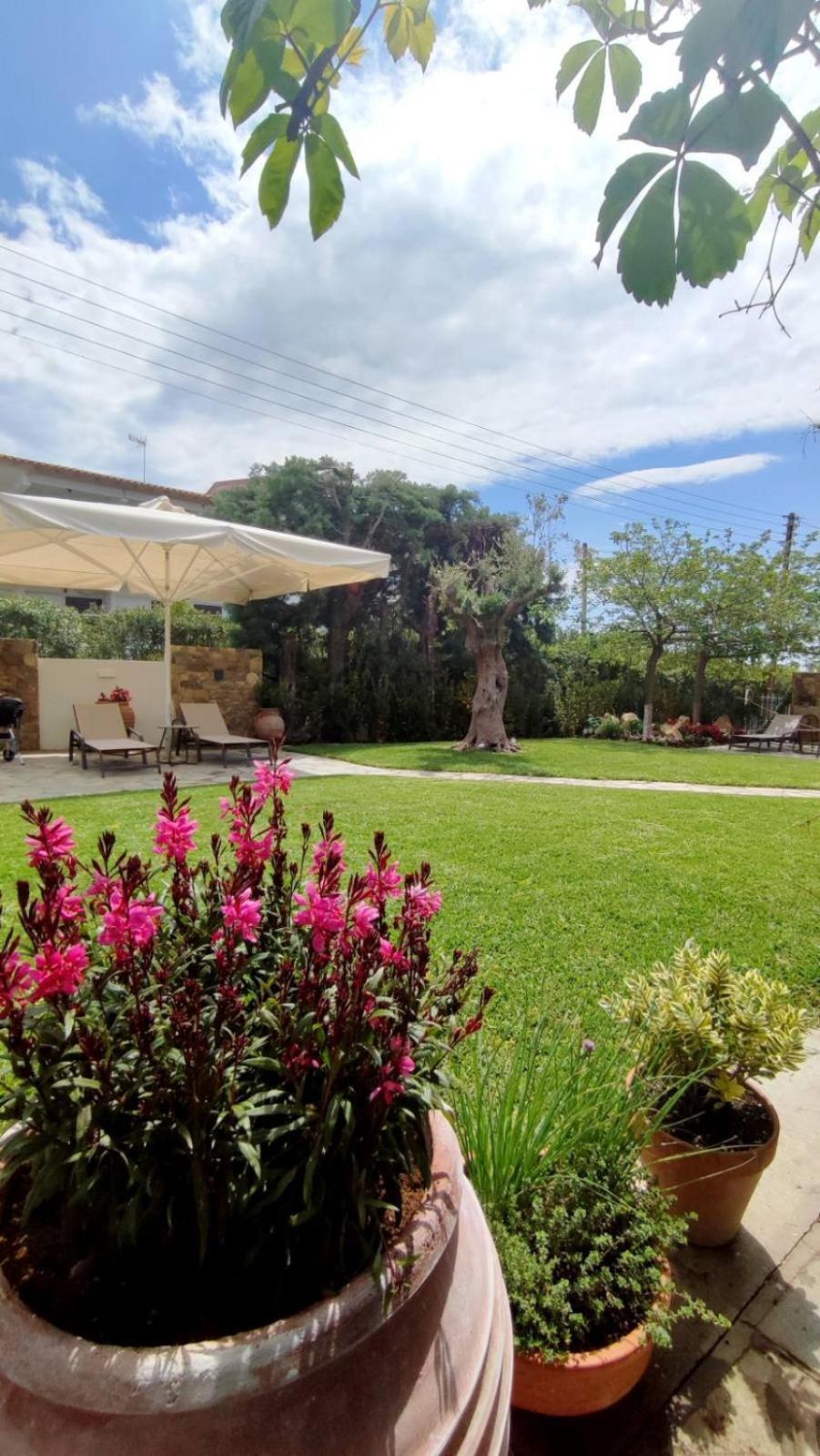 Coel Luxury Suites By Rentalspro Services - Potidea Halkidiki ネア・ポティダイア エクステリア 写真